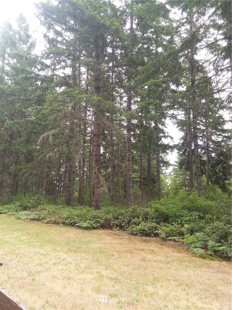 0 Northeast Mast Road Belfair, WA 98528 - Photo 2 of 4 Gallery Image 2