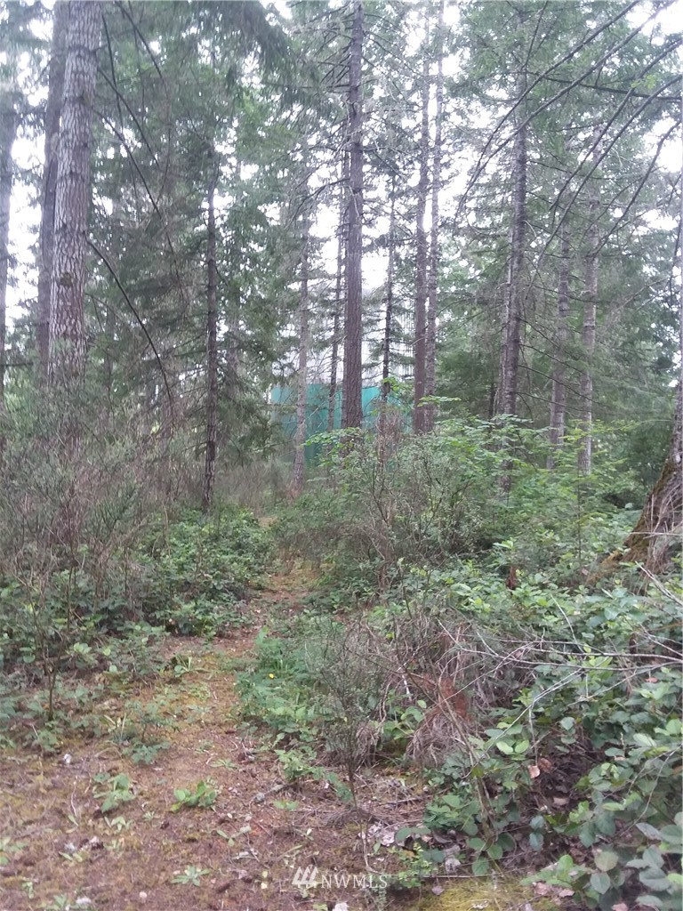 0 Northeast Mast Road Belfair, WA 98528 - Photo 4 of 4 Gallery Image 4