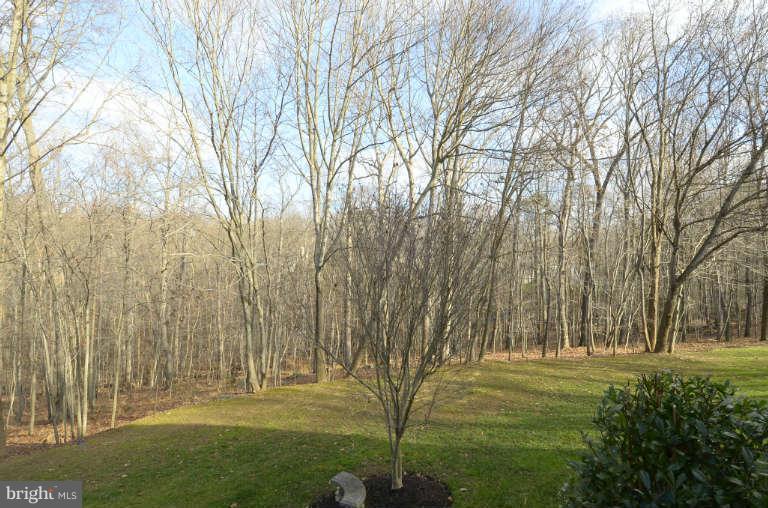 10531 Wickens Road Vienna, VA 22181 - Photo 25 of 30 View of almost 4 Private Acres