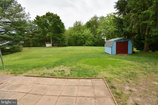 a view of a trees with a yard