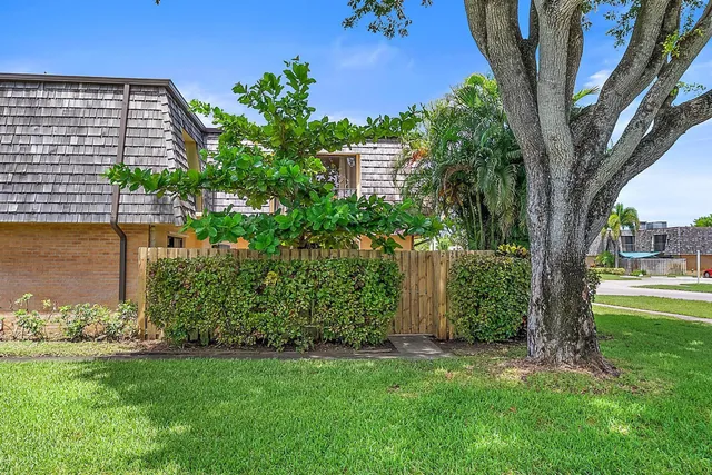 a view of a garden with a large tree