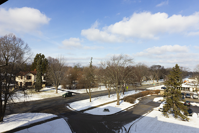 225 South Rohlwing Road, Unit 404 Palatine, IL 60074 - Photo 3 of 4