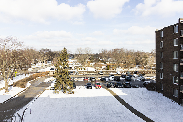 225 South Rohlwing Road, Unit 404 Palatine, IL 60074 - Photo 4 of 4