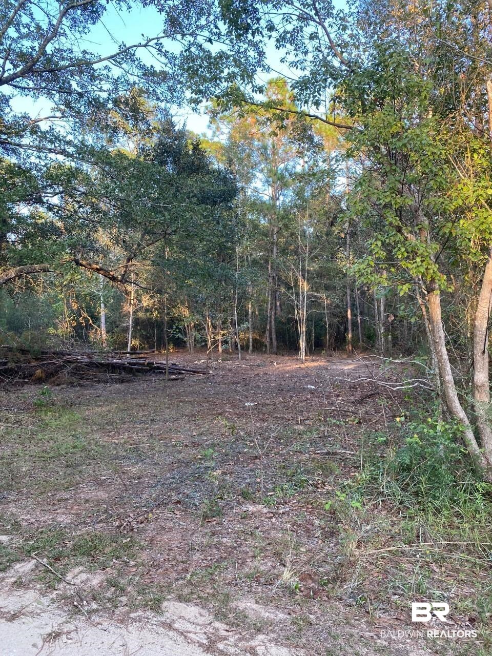 0 South Bay Street Foley, AL 36535 - Photo 3 of 9