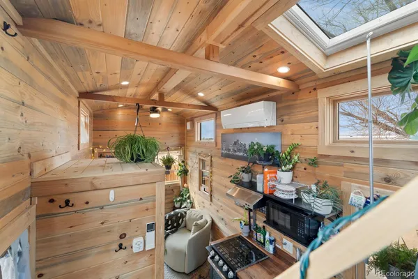 a living room with furniture and a potted plant