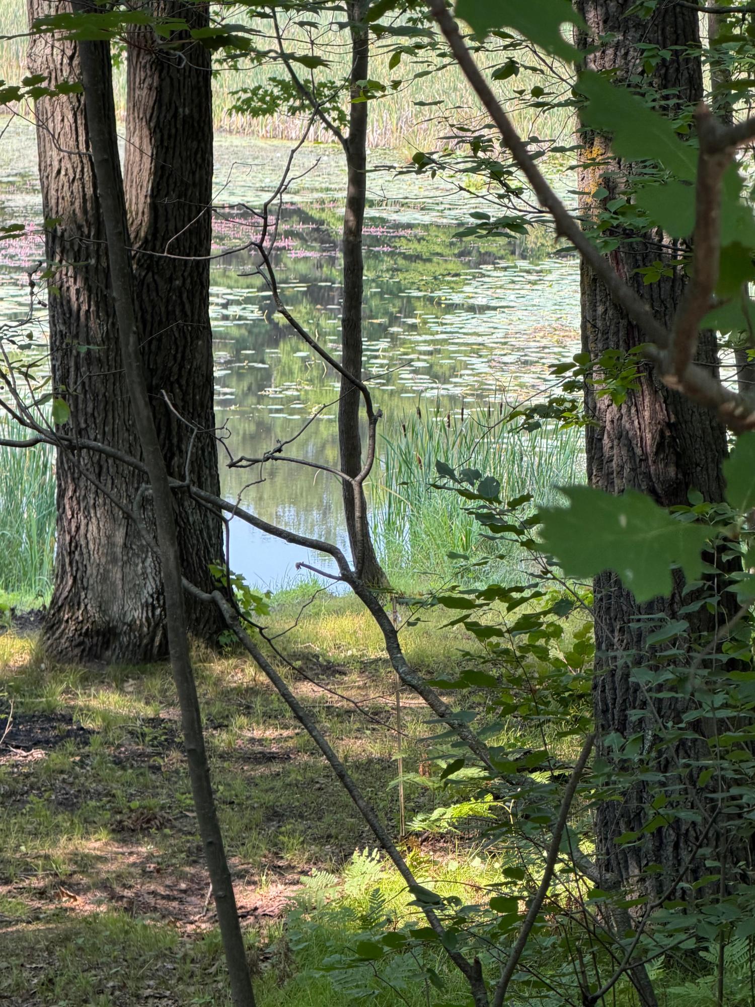 17151 Archibald Lake Road Mountain, WI 54149 - Photo 4 of 16 Gallery Image 4