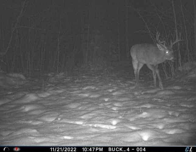 6570 Uncle Toms Road Winter, WI 54896 - Photo 25 of 27 Gallery Image 25