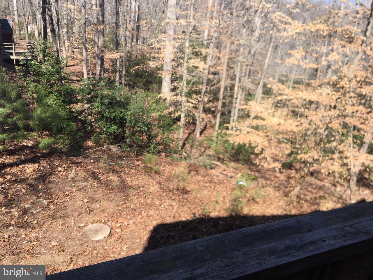 12466 Dalton Trail Lusby, MD 20657 - Photo 45 of 74 Great yard and woods for privacy