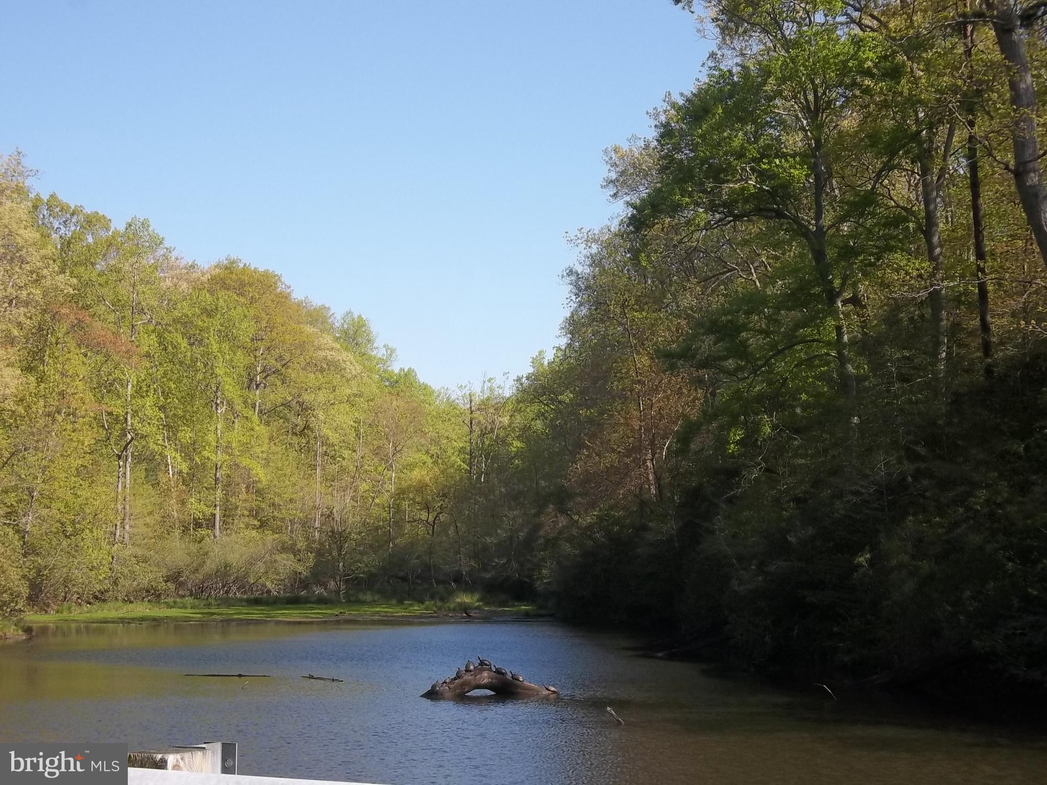 12466 Dalton Trail Lusby, MD 20657 - Photo 68 of 74 a view of a lake with a mountain