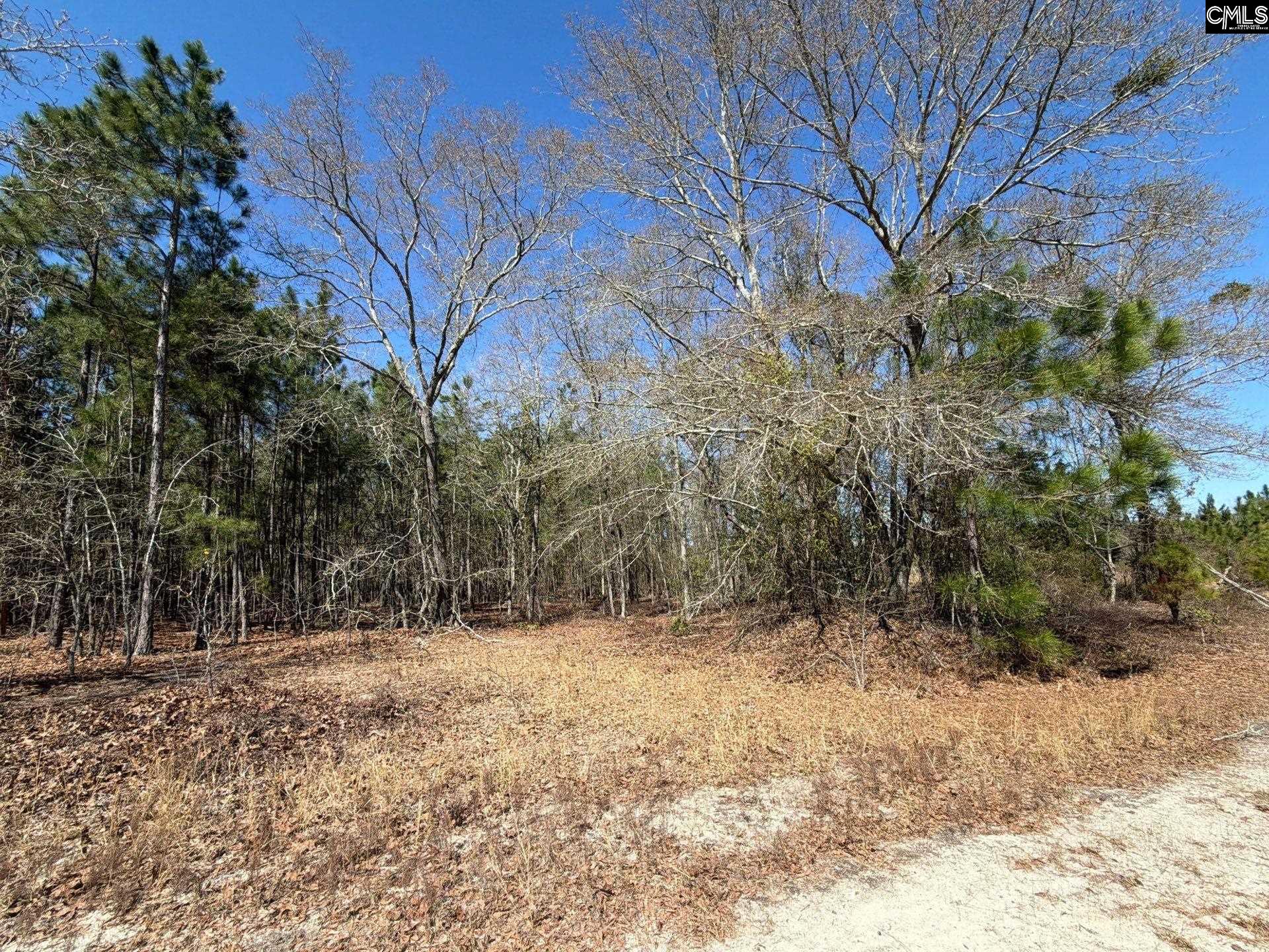 12 Boise Cascade Road, Unit BHL 12 Bethune, SC 29009 - Photo 12 of 20