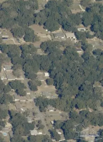 a view of a dry space of forest