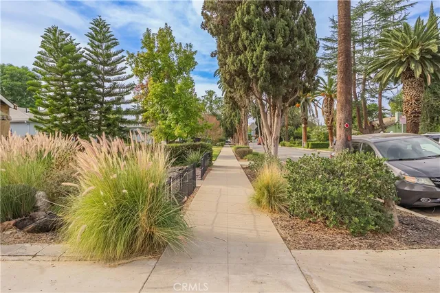 a view of a pathway with plants