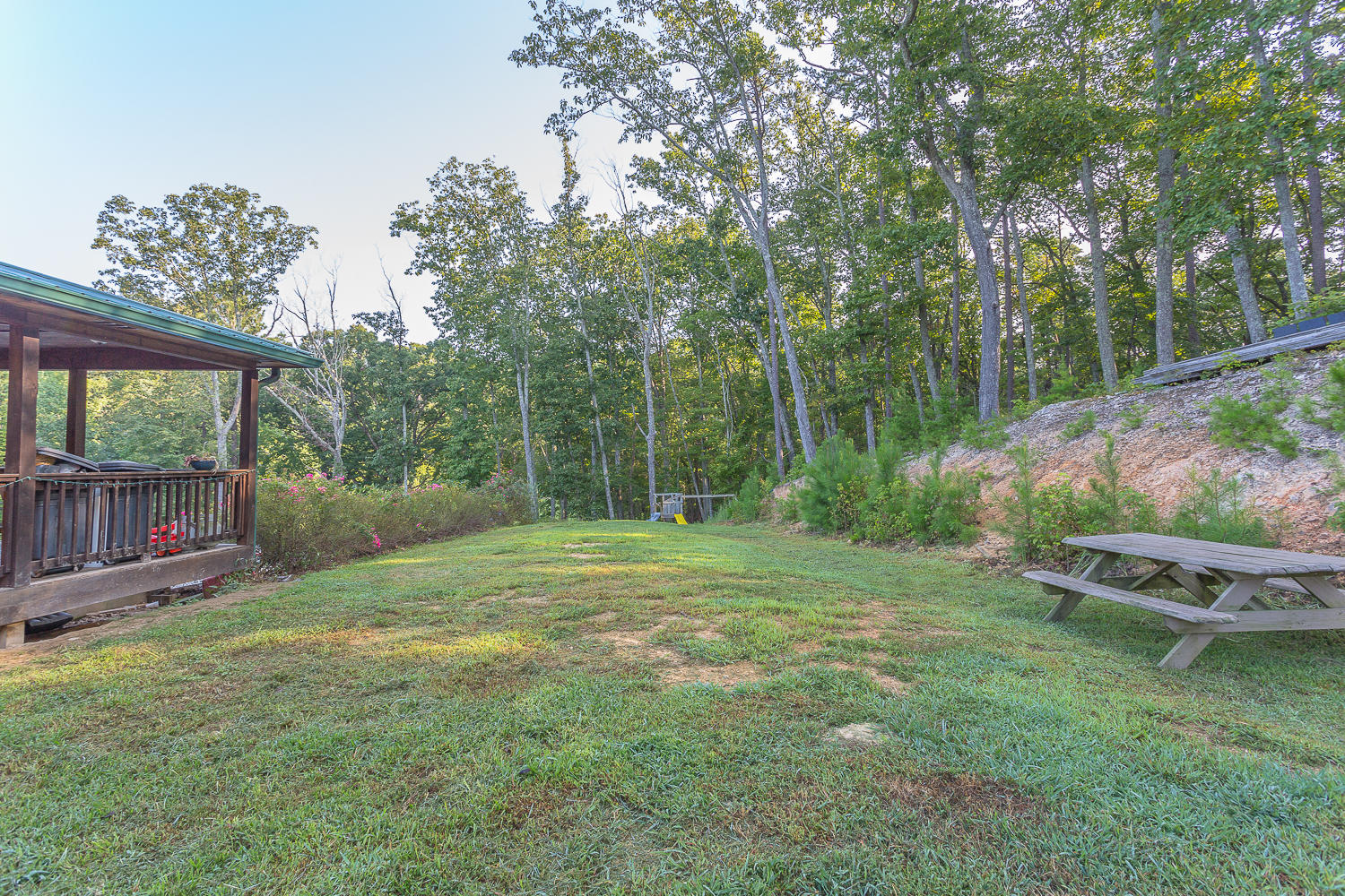 6161 Silver Hill Road Summerville, GA 30747 - Photo 7 of 34 Back yard