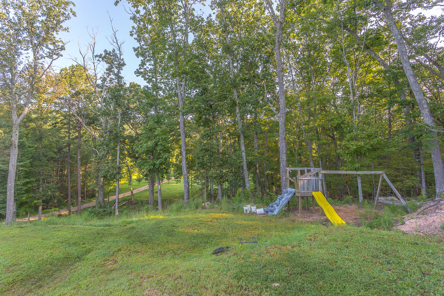 6161 Silver Hill Road Summerville, GA 30747 - Photo 8 of 34 Back yard