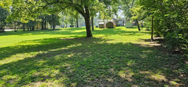 a view of a backyard with large trees