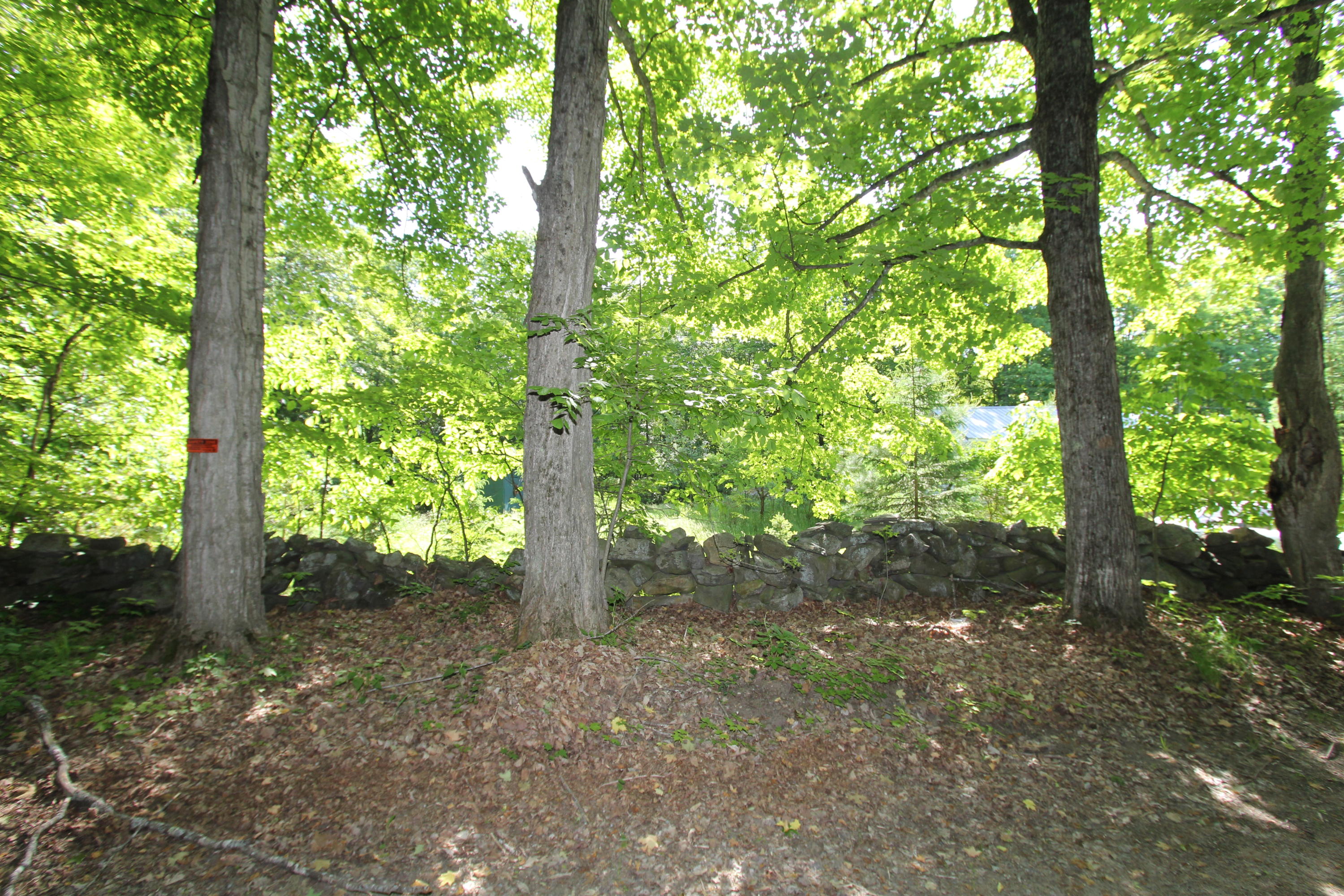 18 Maple Lane Fayette, ME 04349 - Photo 16 of 22 IMG_6479