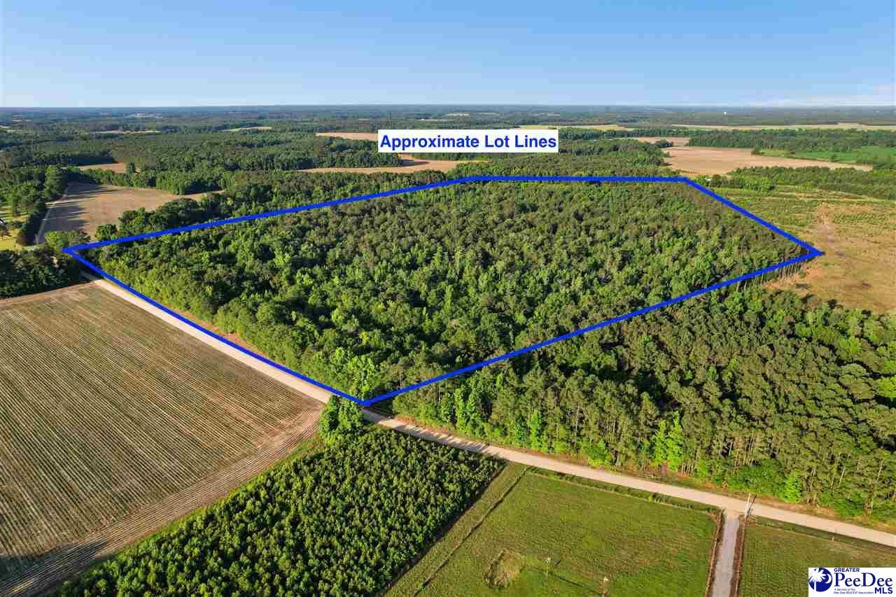 Lot 3-tbd Windham Town Road Lamar, SC 29069 - Photo 7 of 12 Gallery Image 7