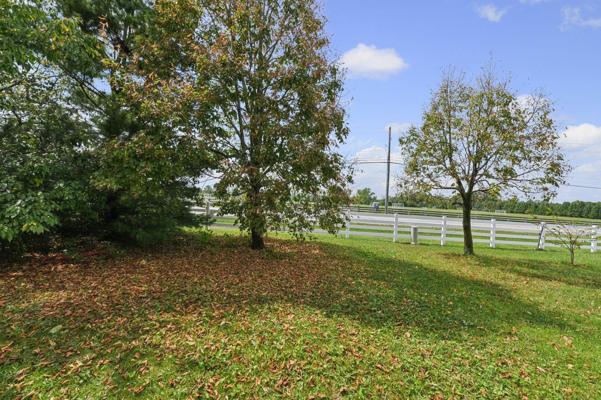 2117 Ripple Road Hilliard, OH 43026 - Photo 37 of 37 45-web-or-mls-DSC_5117