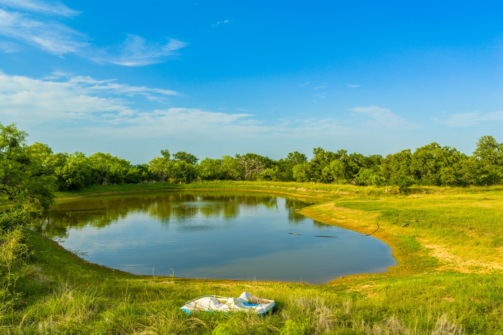 11079 Cr 266 Rochelle Tx 76872 Rochelle, TX 76872 - Photo 3 of 40 Expansive pond surrounded by natural green landscaping and mature trees