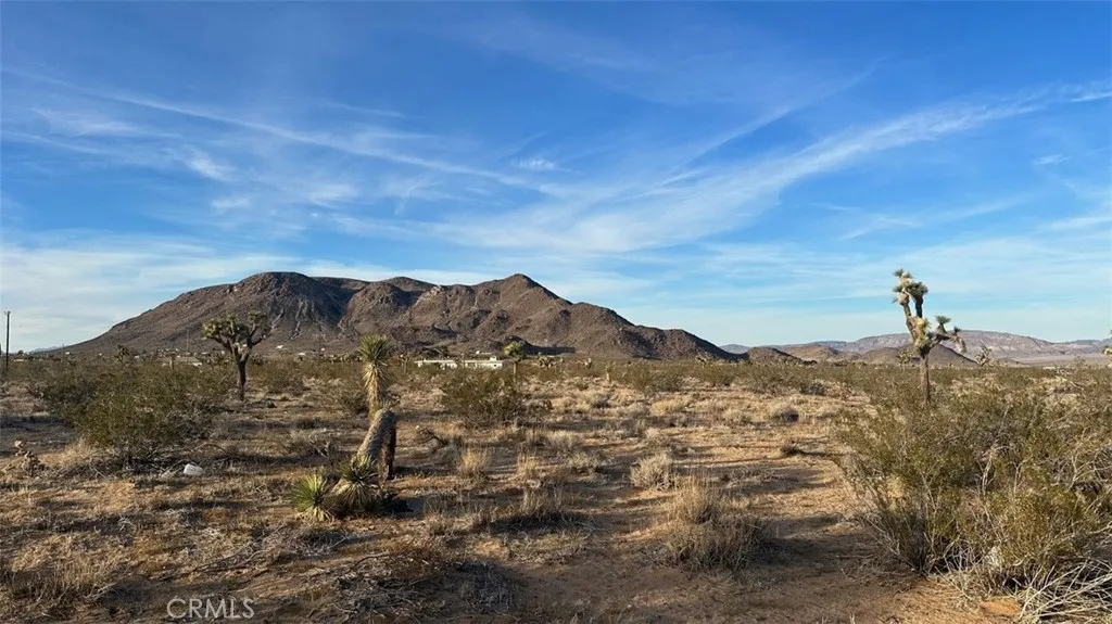 59775 Bearing Tree Landers, CA 92285 - Photo 2 of 16