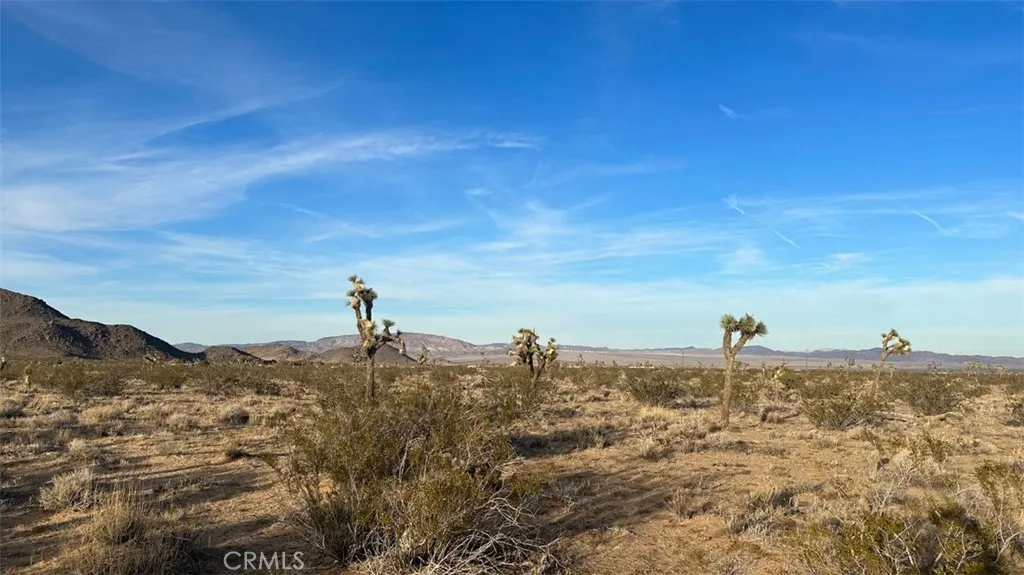 59775 Bearing Tree Landers, CA 92285 - Photo 3 of 16