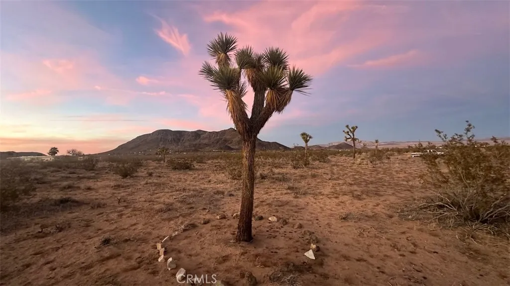 59775 Bearing Tree Landers, CA 92285 - Photo 6 of 16