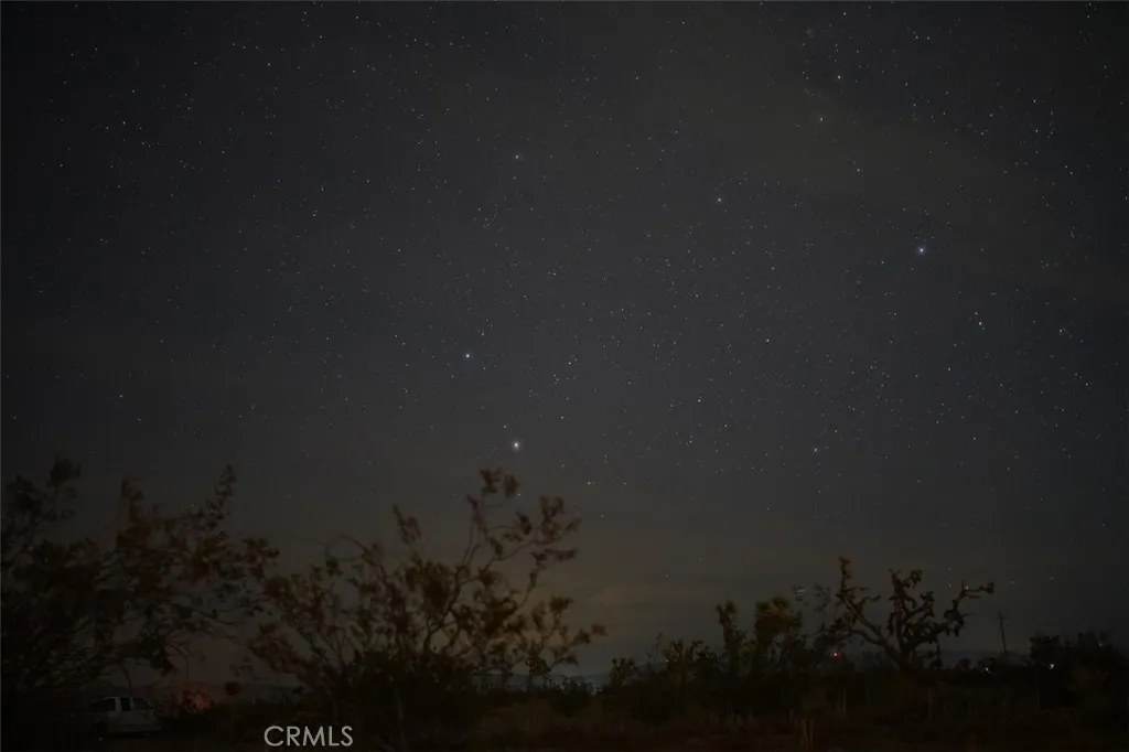 59775 Bearing Tree Landers, CA 92285 - Photo 8 of 16