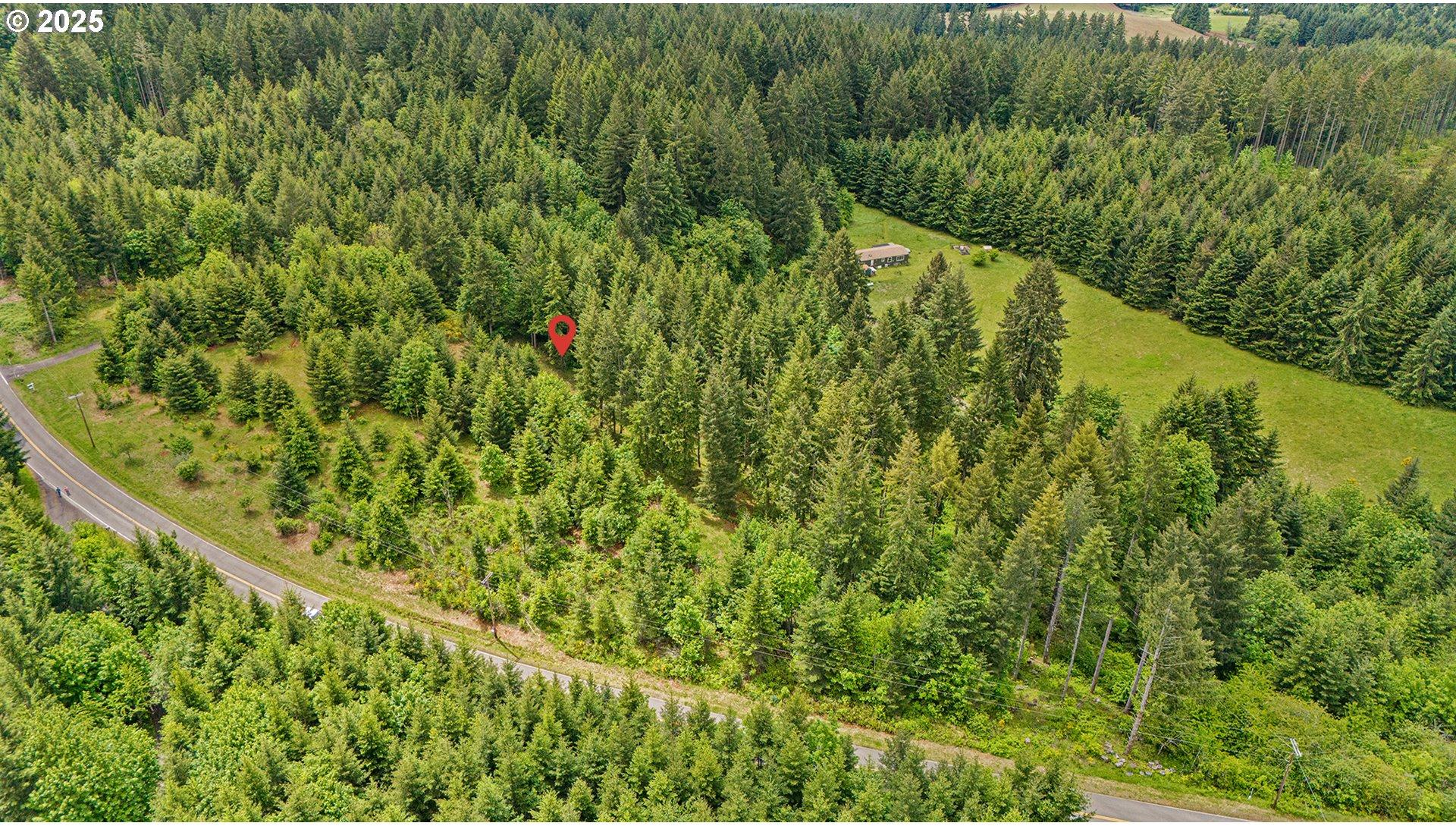 Northwest Pumpkin Ridge Road, Unit 400 North Plains, OR 97133 - Photo 19 of 36 Gallery Image 19
