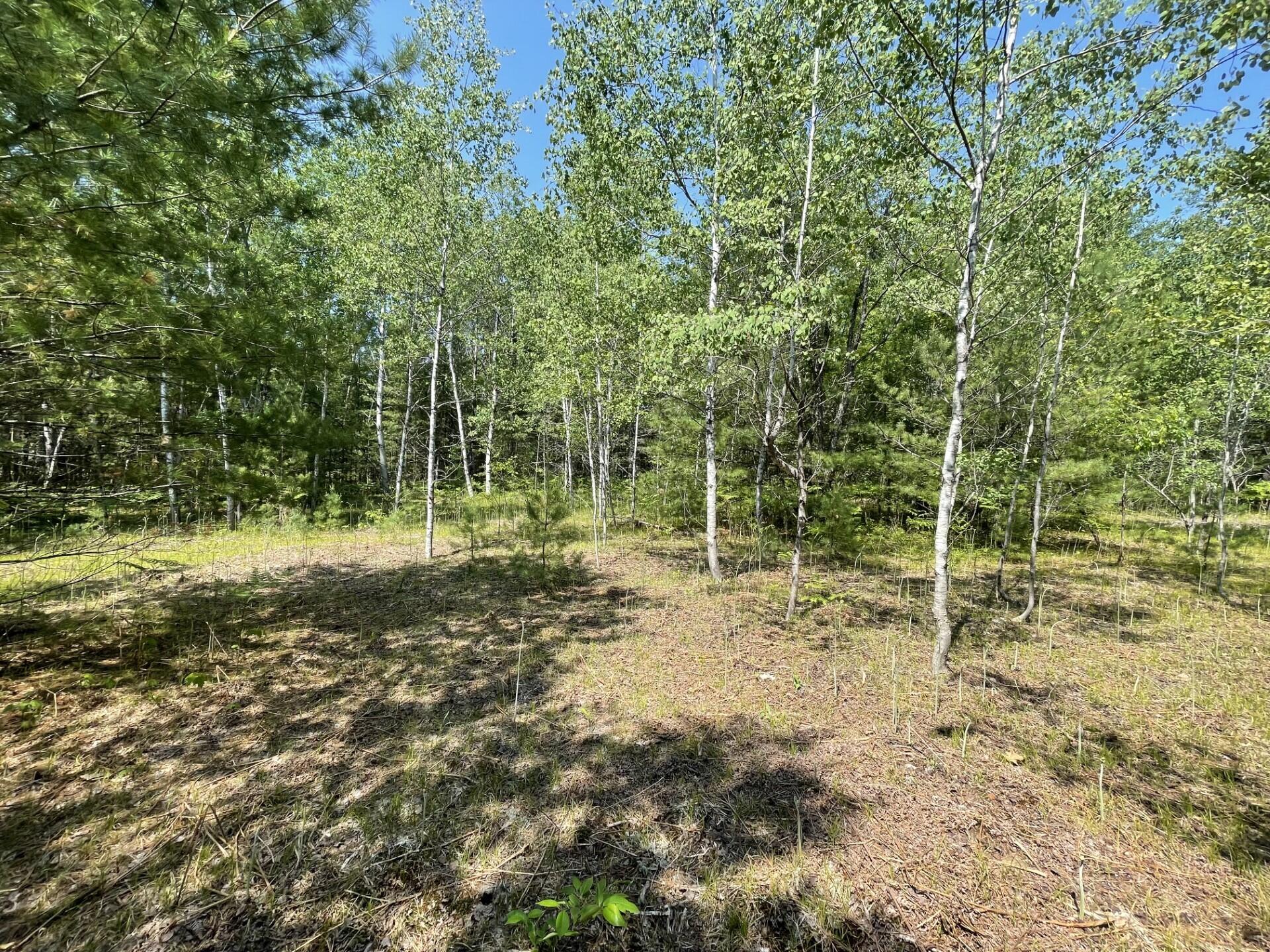 Vl Lake Manuka Road Gaylord, MI 49735 - Photo 4 of 7 Gallery Image 4