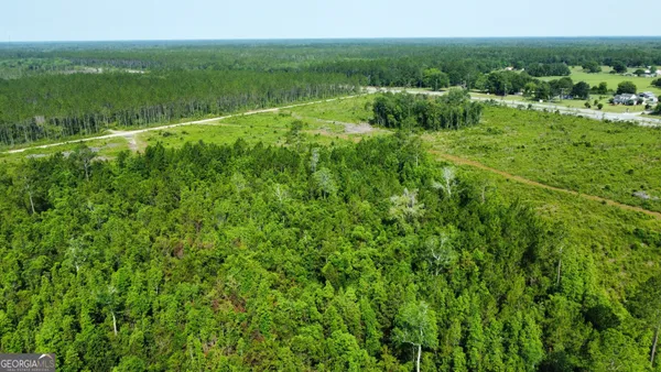 a view of a lush green space with sea