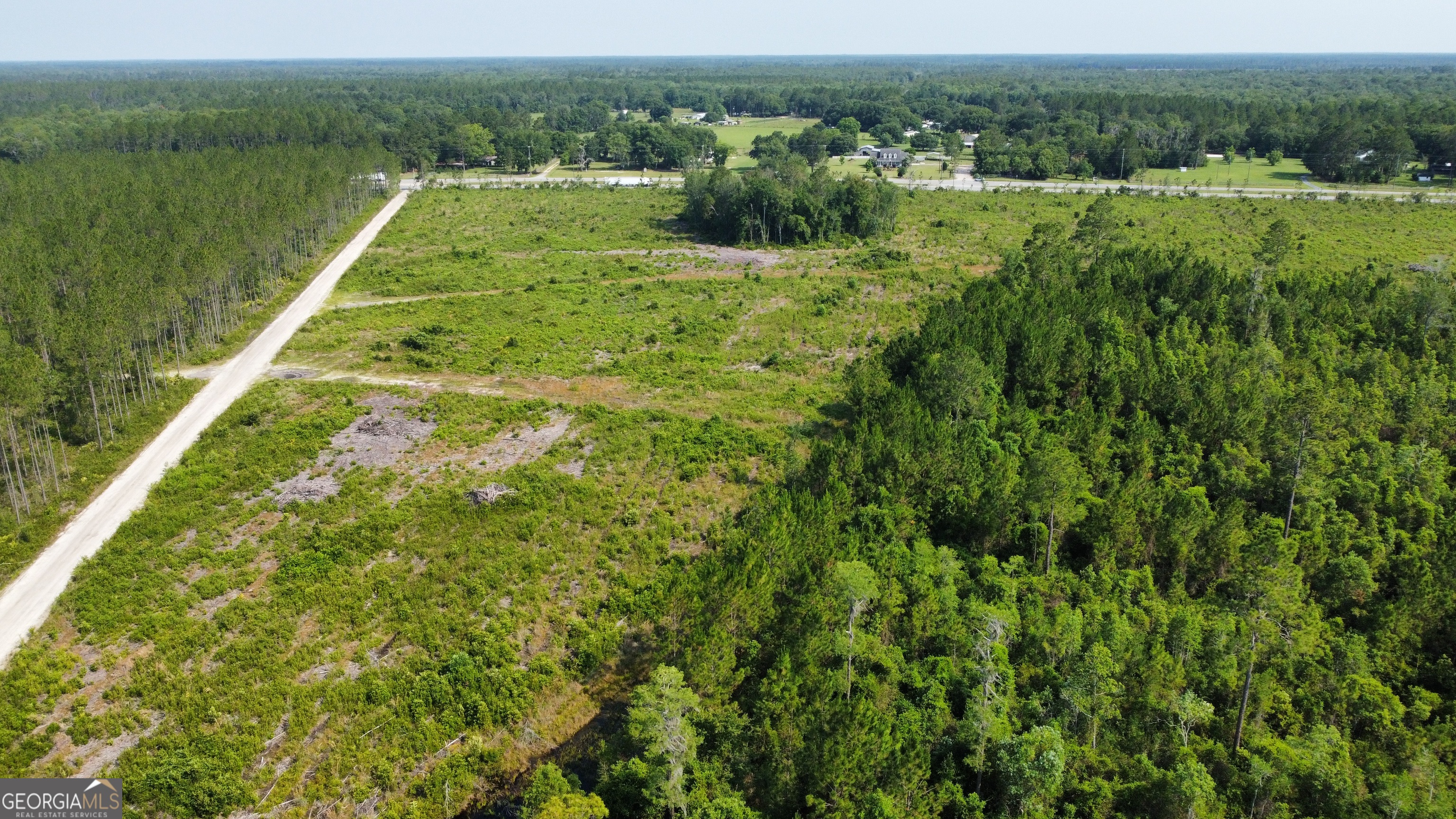 0 Highway 84, Unit 4 Homerville, GA 31634 - Photo 6 of 8 a view of a lush green forest with houses
