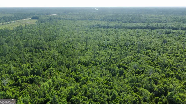 a view of a lush green forest with trees and some houses