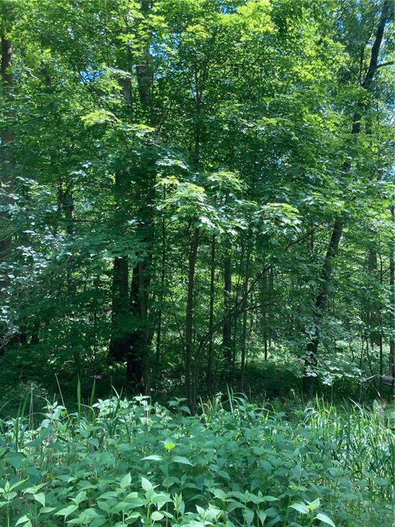 1215 Sandy Run Road Confluence, PA 15424 - Photo 5 of 7 Gallery Image 5