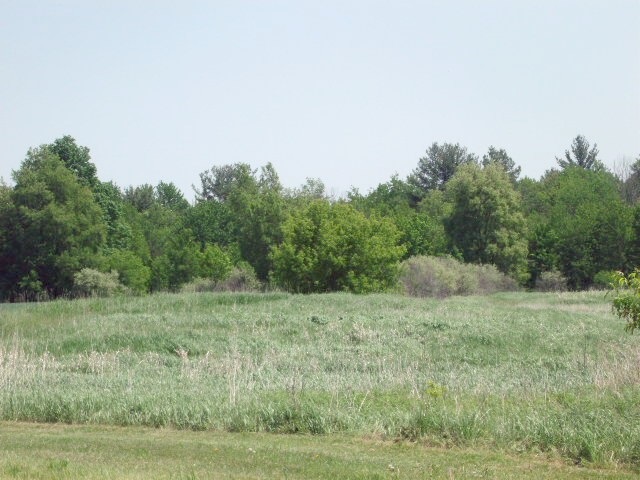 2350 North Black Road Twining, MI 48766 - Photo 22 of 35 1800556-21.JPG