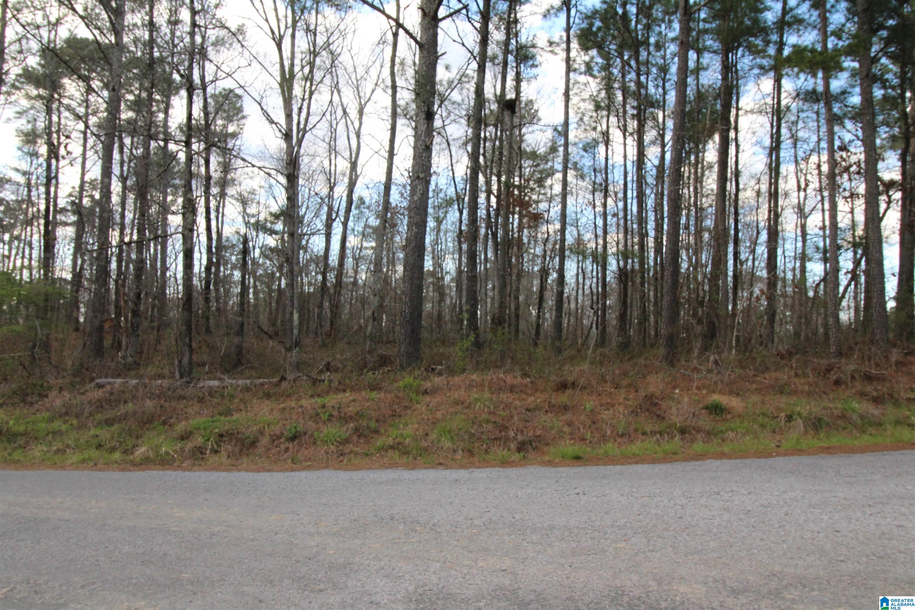 0 Joey Lane, Unit 41 Oneonta, AL 35121 - Photo 1 of 2