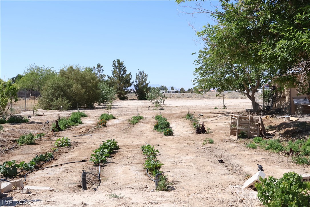 4501 East Kellogg Road Pahrump, NV 89061 - Photo 47 of 52 Cultivate your dreams on this generously sized lot, offering ample space for gardening and outdoor pursuits.