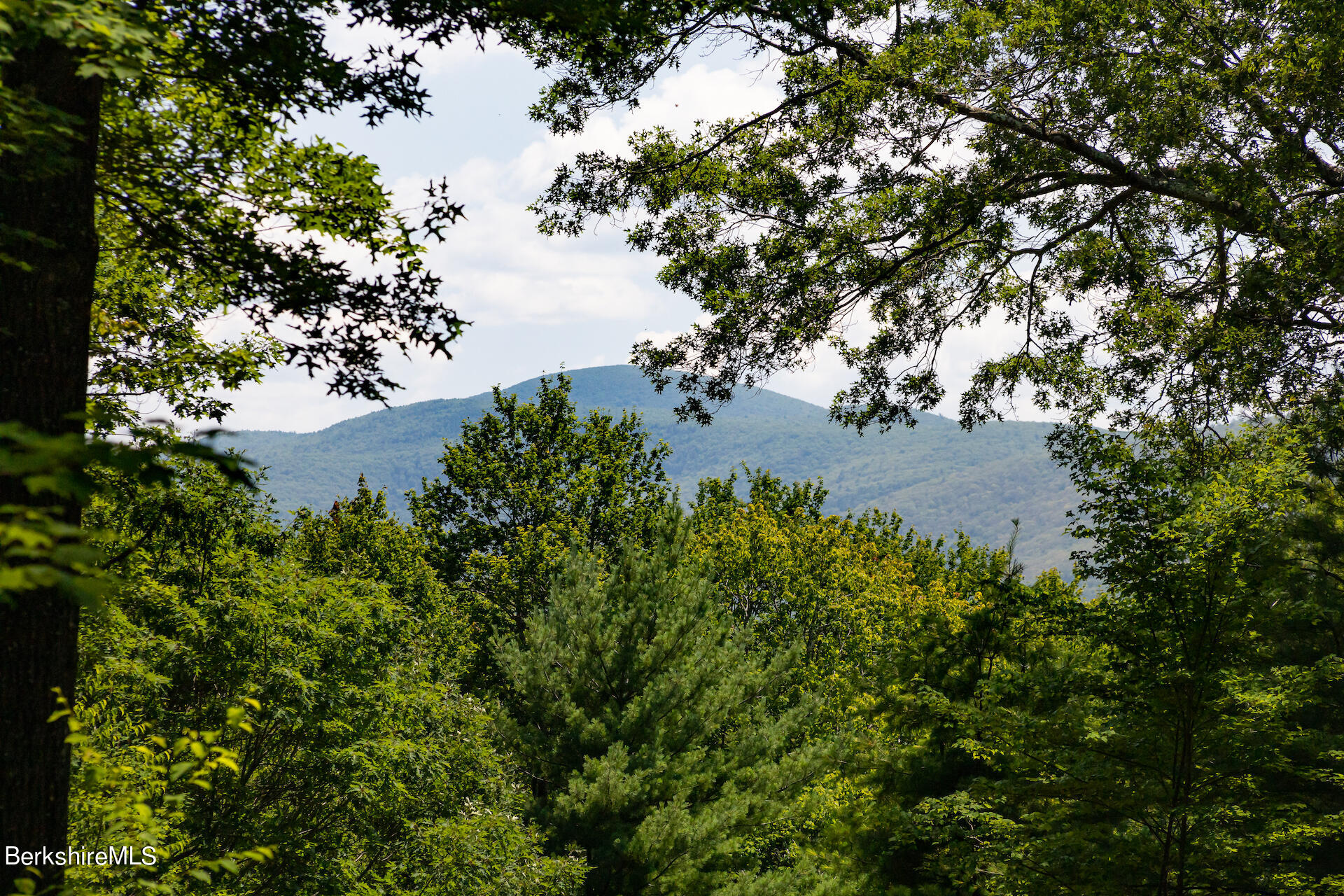 6 Oxbow Road Egremont, MA 01230 - Photo 4 of 42 a view of a yard with a tree
