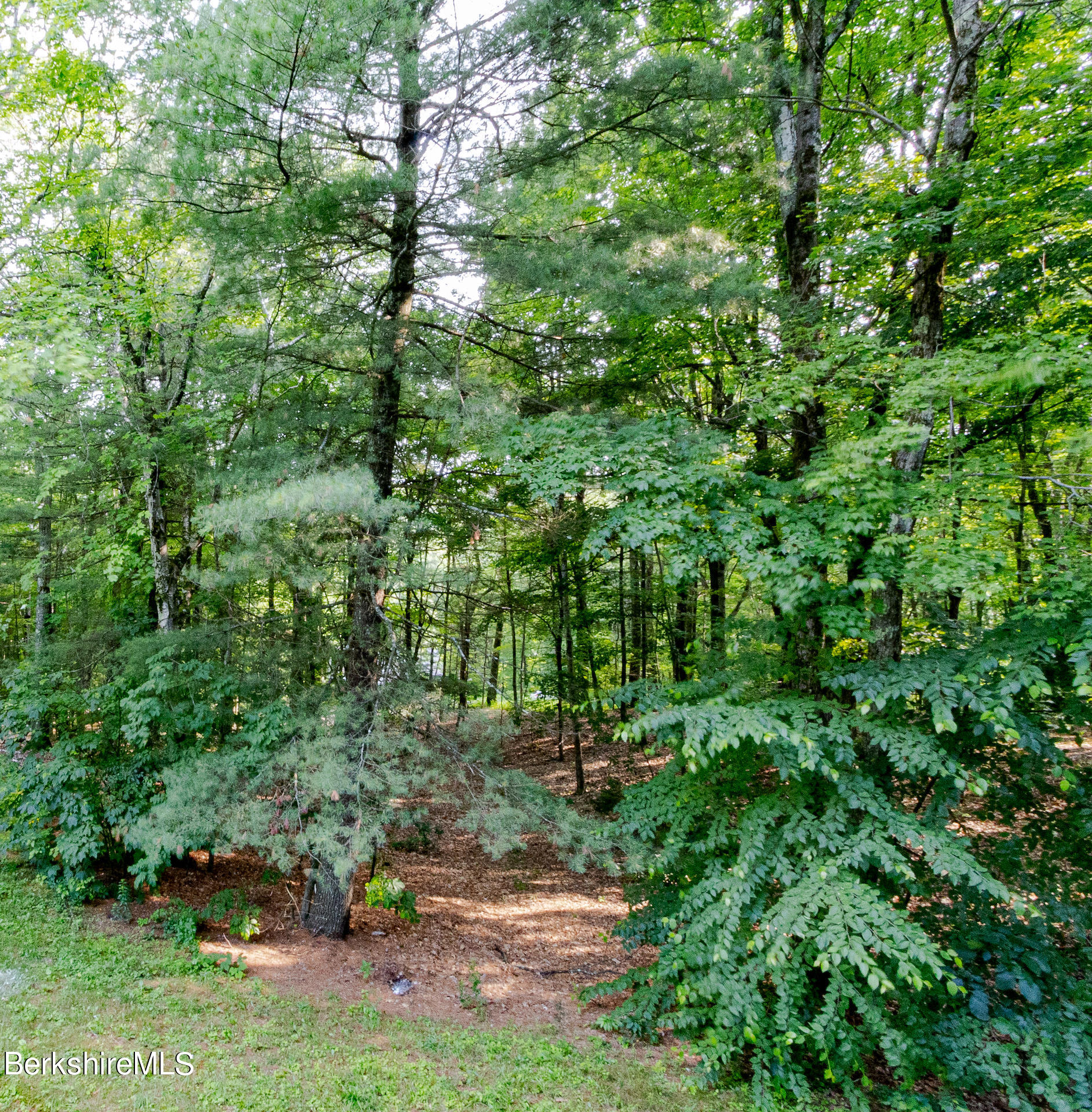 6 Oxbow Road Egremont, MA 01230 - Photo 40 of 42 a view of yard