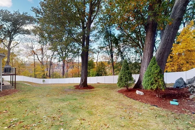 a view of backyard with tree