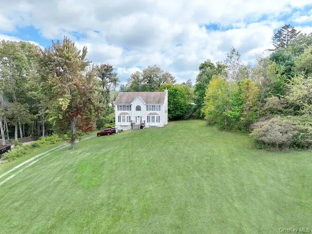 a view of a big yard with plants and large trees