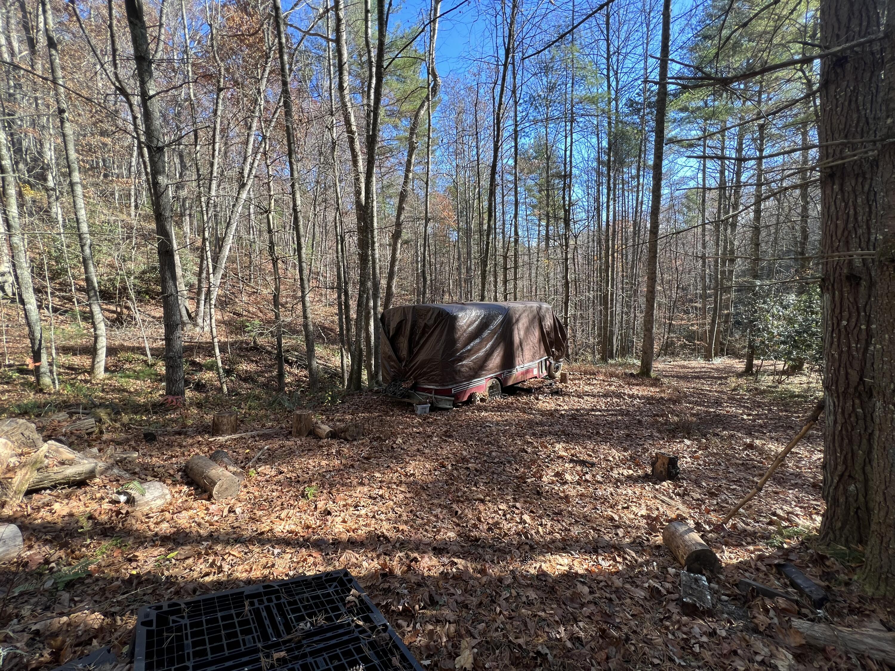 Tbd Copperhead Hollow Road Mountain City, TN 37683 - Photo 12 of 35 Photo Nov 04 2022, 11 23 59 AM