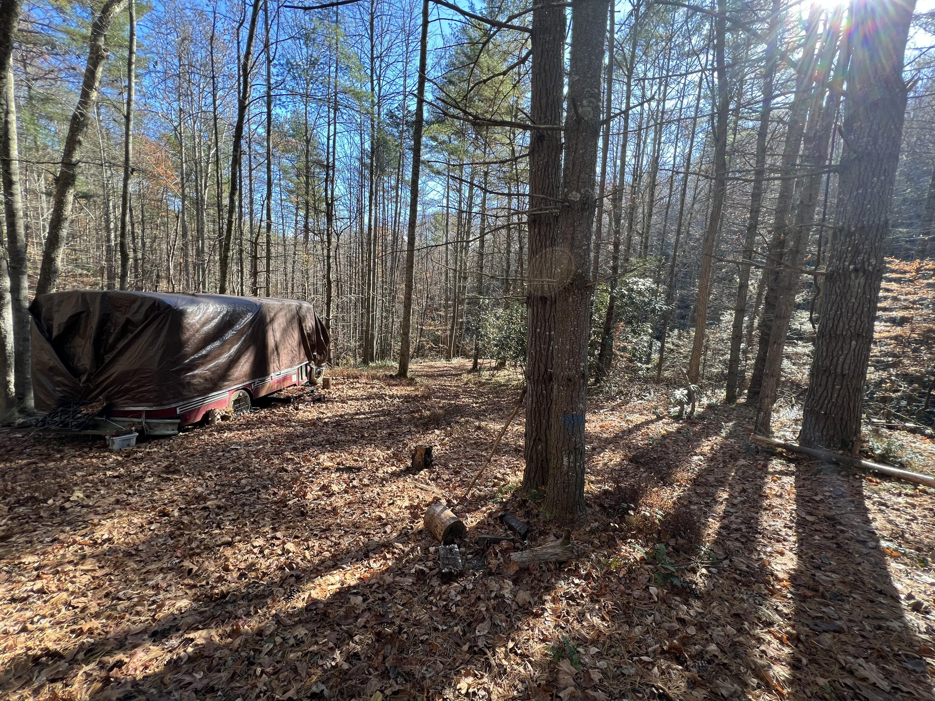 Tbd Copperhead Hollow Road Mountain City, TN 37683 - Photo 13 of 35 Photo Nov 04 2022, 11 24 02 AM
