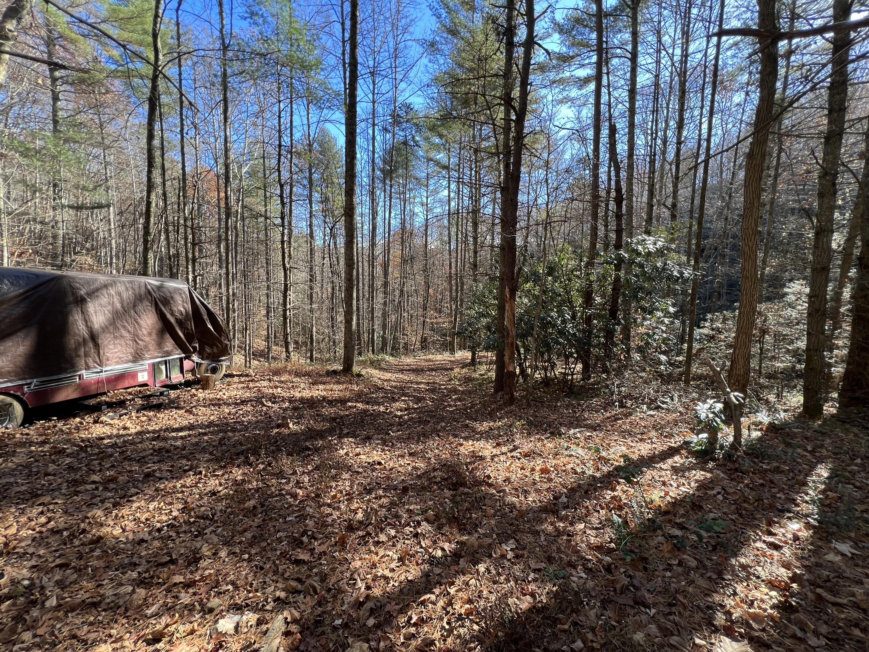 Tbd Copperhead Hollow Road Mountain City, TN 37683 - Photo 14 of 35 Photo Nov 04 2022, 11 24 47 AM