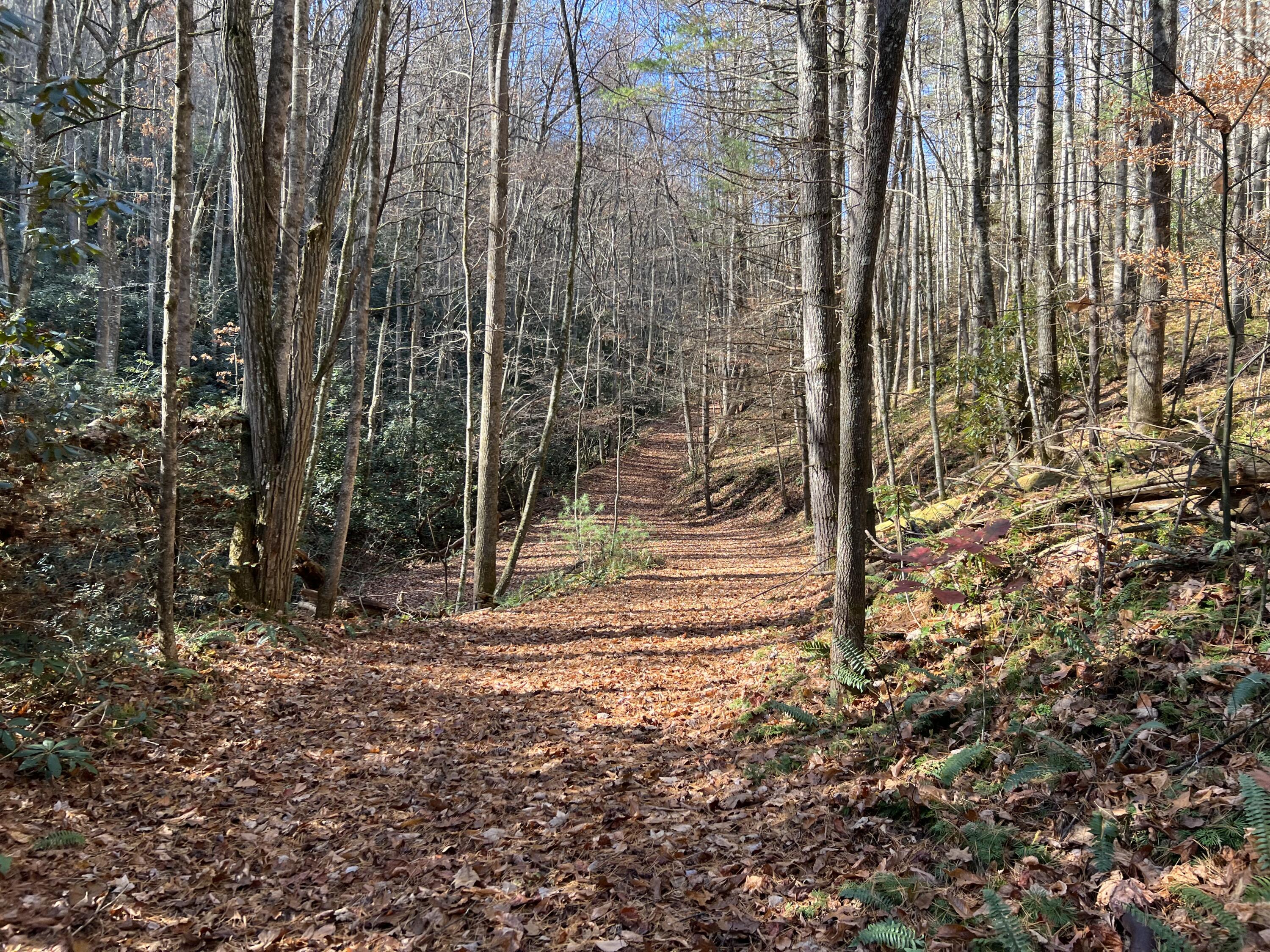 Tbd Copperhead Hollow Road Mountain City, TN 37683 - Photo 15 of 35 Photo Nov 04 2022, 11 25 26 AM