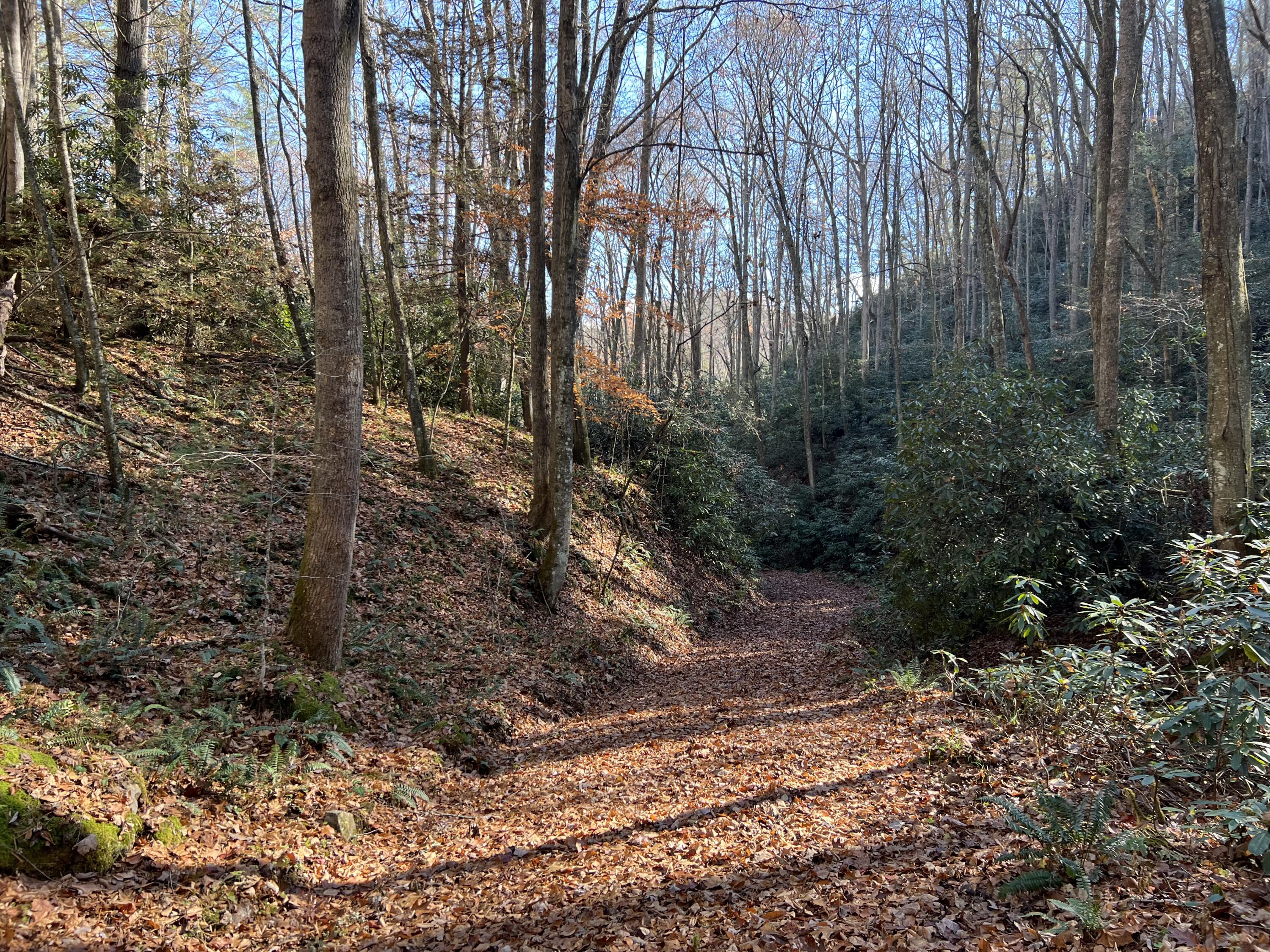 Tbd Copperhead Hollow Road Mountain City, TN 37683 - Photo 16 of 35 Photo Nov 04 2022, 11 25 59 AM