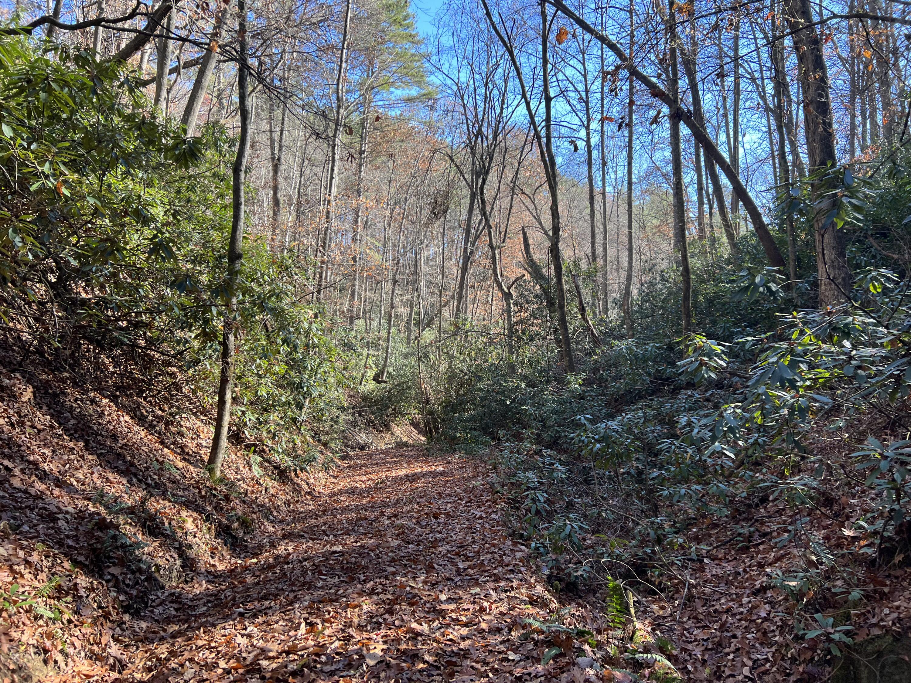 Tbd Copperhead Hollow Road Mountain City, TN 37683 - Photo 17 of 35 Photo Nov 04 2022, 11 27 38 AM