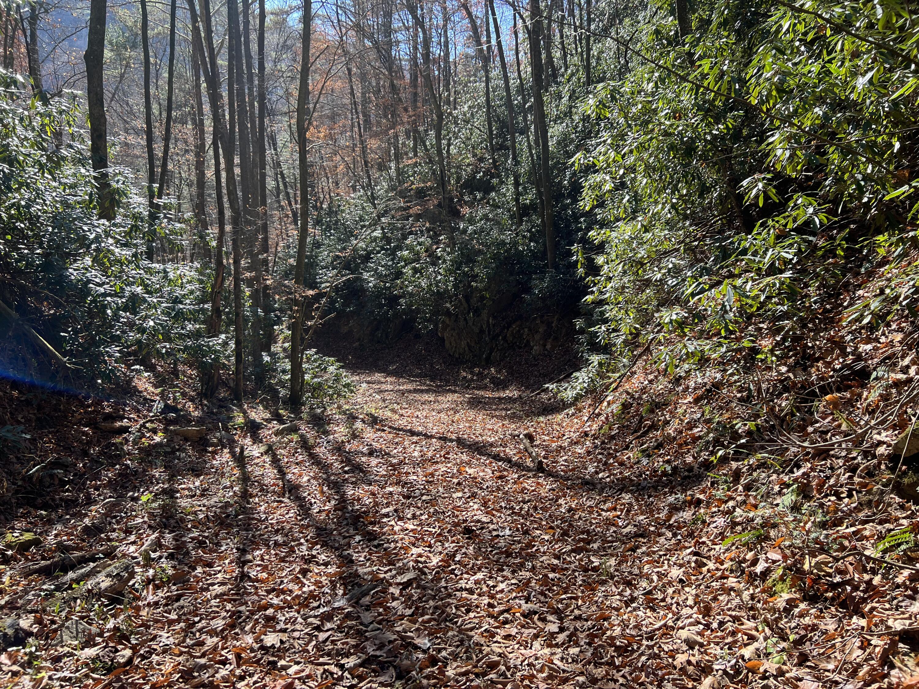 Tbd Copperhead Hollow Road Mountain City, TN 37683 - Photo 18 of 35 Photo Nov 04 2022, 11 30 00 AM