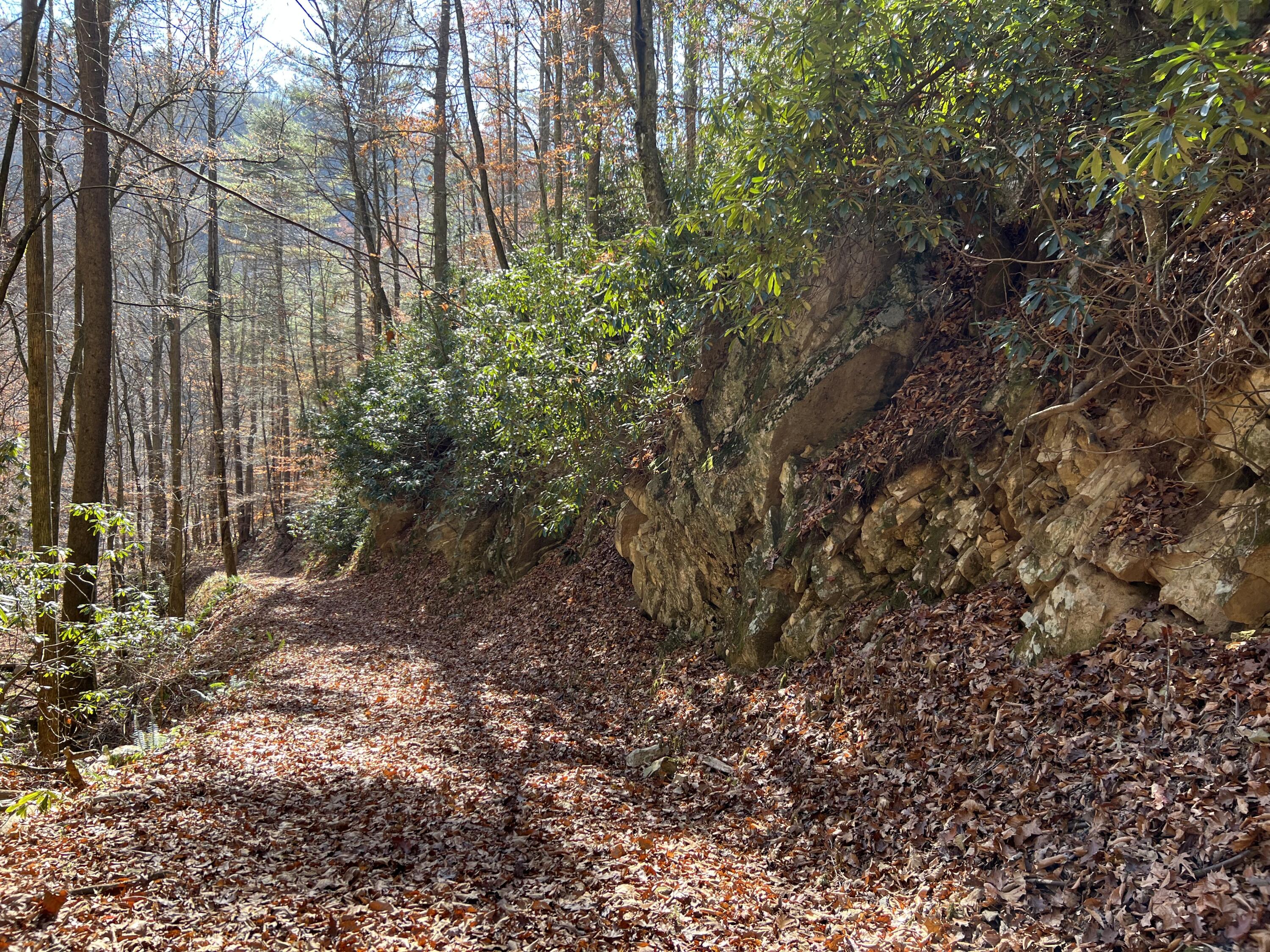 Tbd Copperhead Hollow Road Mountain City, TN 37683 - Photo 19 of 35 Photo Nov 04 2022, 11 30 35 AM