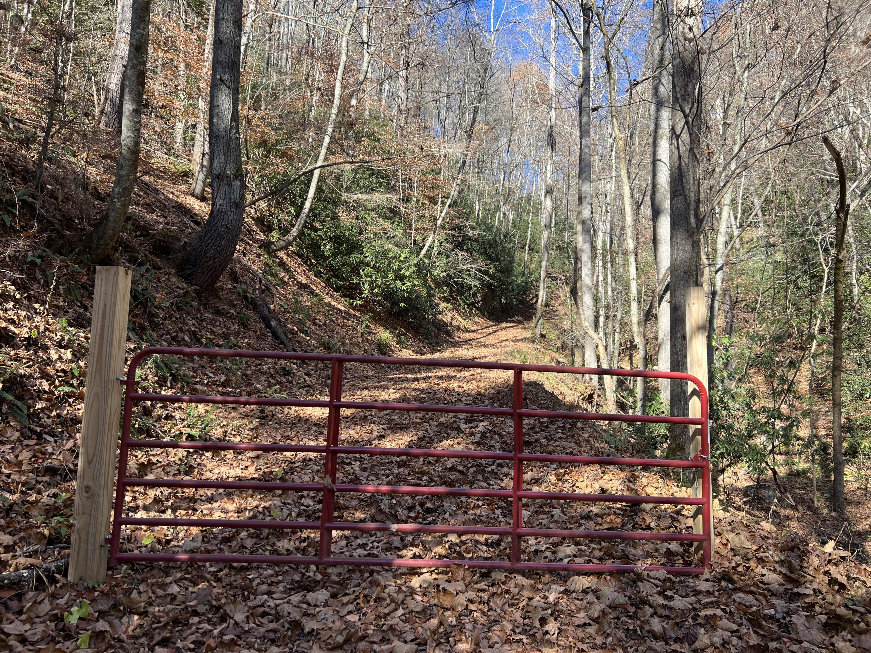 Tbd Copperhead Hollow Road Mountain City, TN 37683 - Photo 20 of 35 Photo Nov 04 2022, 11 32 09 AM