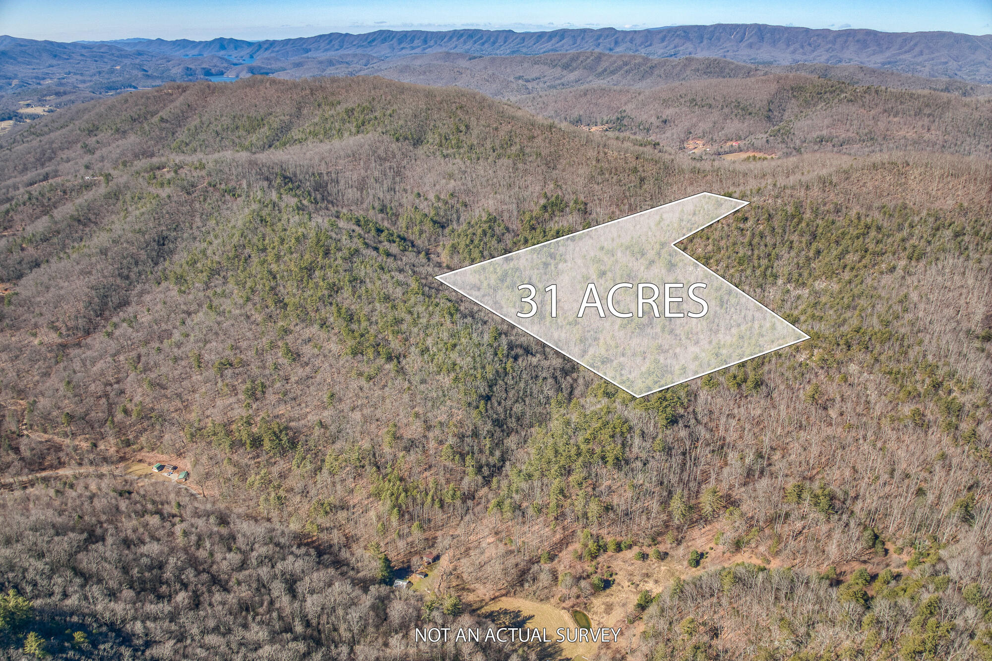 Tbd Copperhead Hollow Road Mountain City, TN 37683 - Photo 2 of 35 overlay_1-2